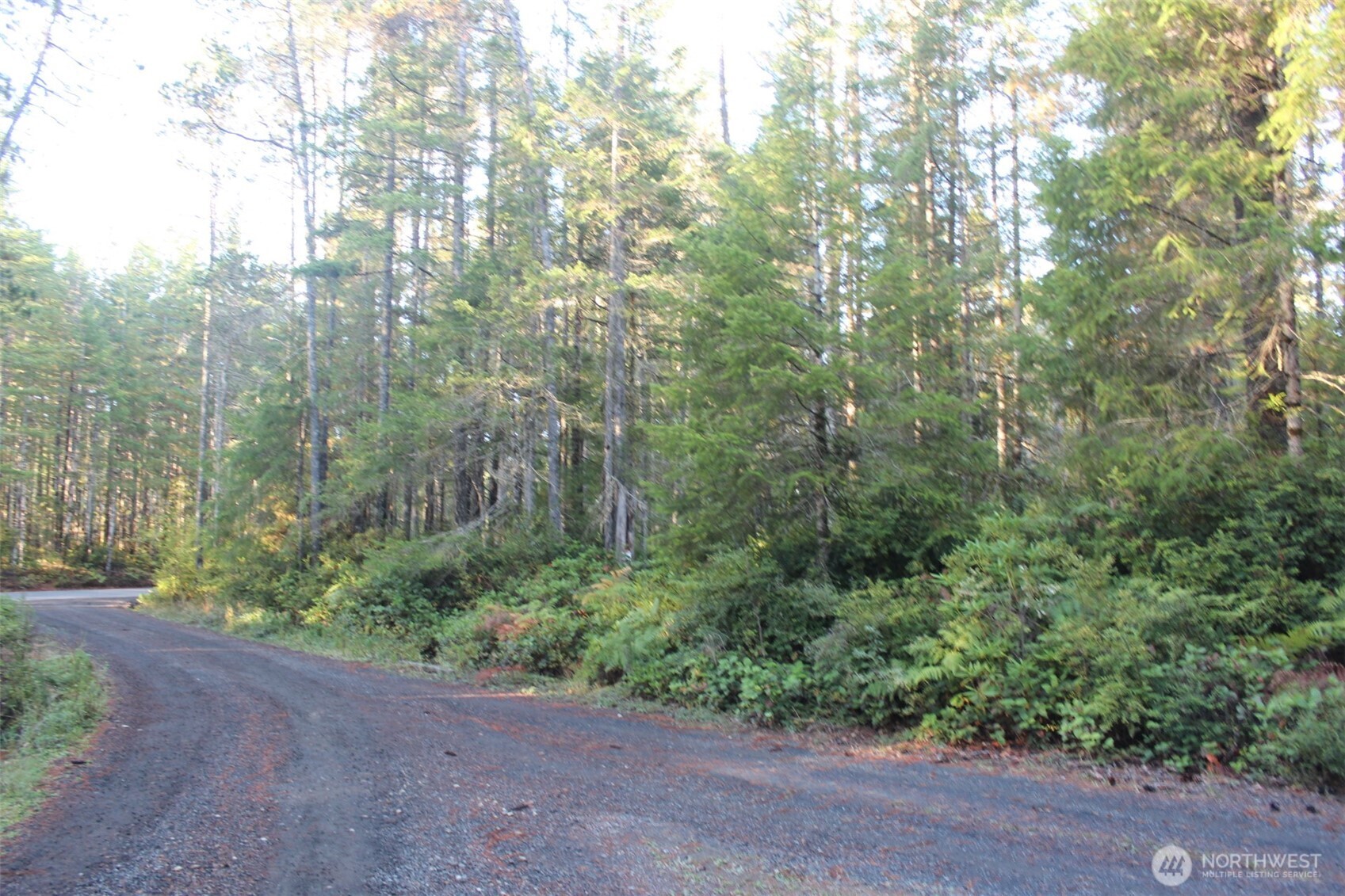 3511 NE Tahuya Blacksmith Rd , Tahuya, WA 98588