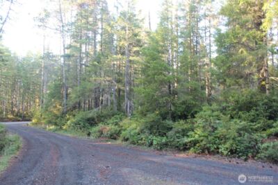 3511 NE Tahuya Blacksmith Rd , Tahuya, WA 98588 - Photo 4