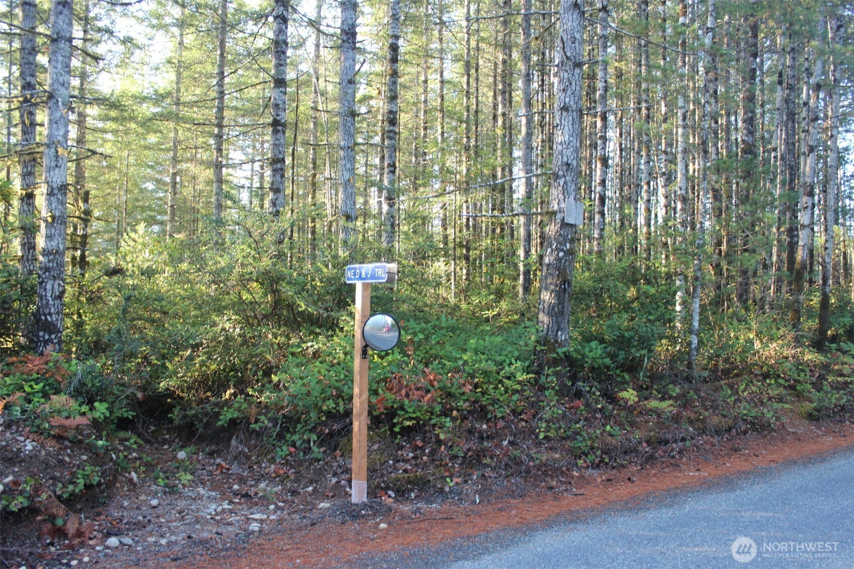 3511 NE Tahuya Blacksmith Rd , Tahuya, WA 98588