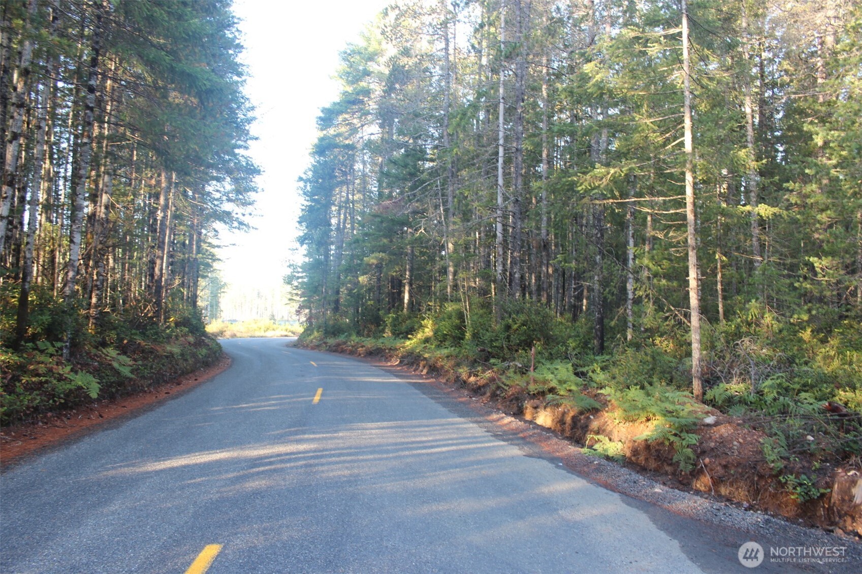 3511 NE Tahuya Blacksmith Rd , Tahuya, WA 98588