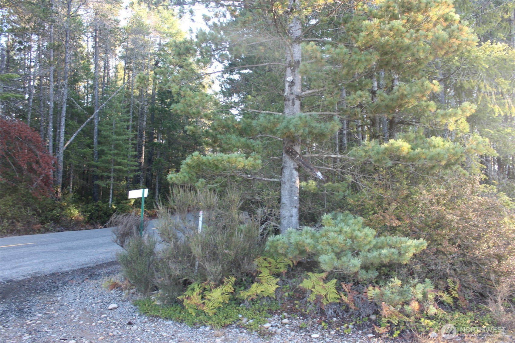 3511 NE Tahuya Blacksmith Rd , Tahuya, WA 98588
