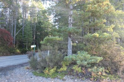 3511 NE Tahuya Blacksmith Rd , Tahuya, WA 98588 - Photo 8