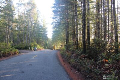 3511 NE Tahuya Blacksmith Rd , Tahuya, WA 98588 - Photo 9