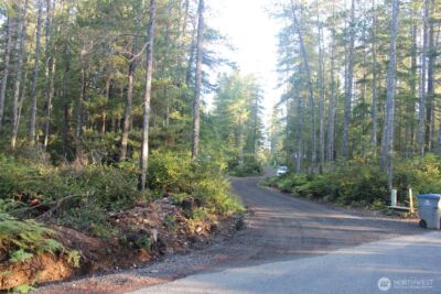 3511 NE Tahuya Blacksmith Rd , Tahuya, WA 98588 - Photo 10