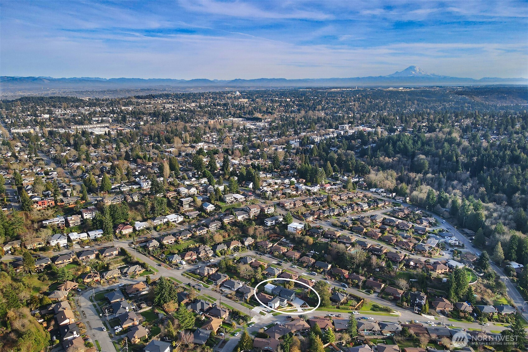 8810 41st Avenue SW, Seattle, WA 98136