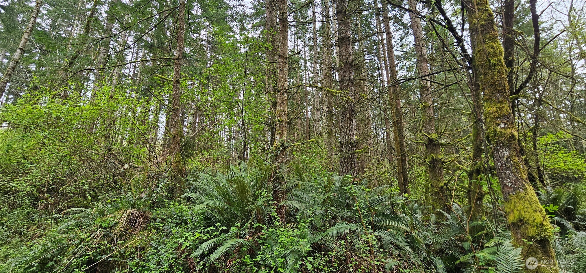 0 House Place , Camano Island, WA 98282