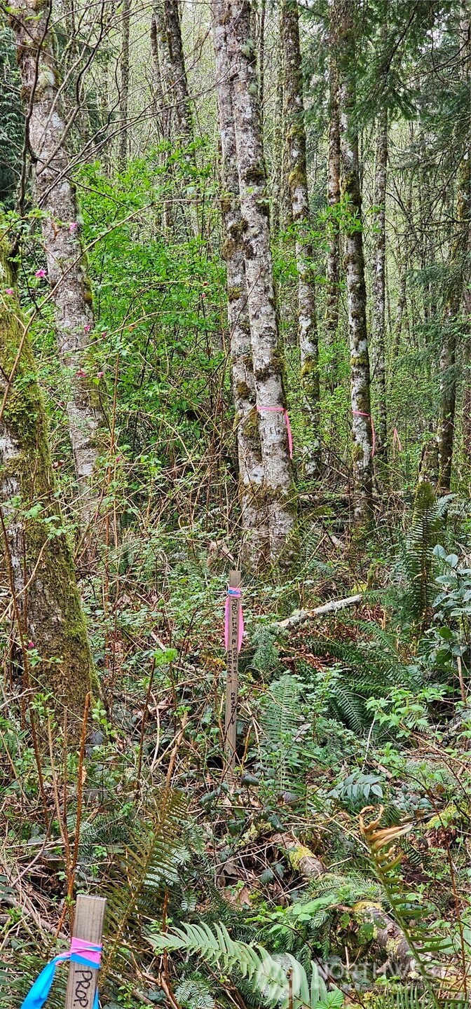 0 House Place , Camano Island, WA 98282