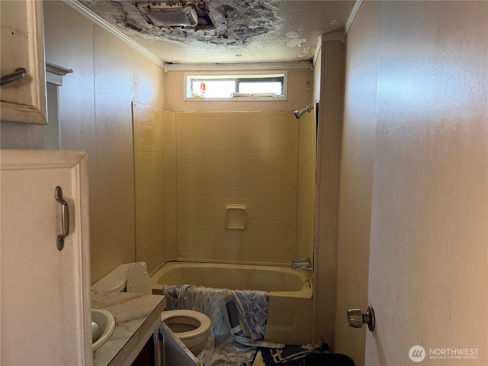 1306 97th Street , Tacoma, WA 98445