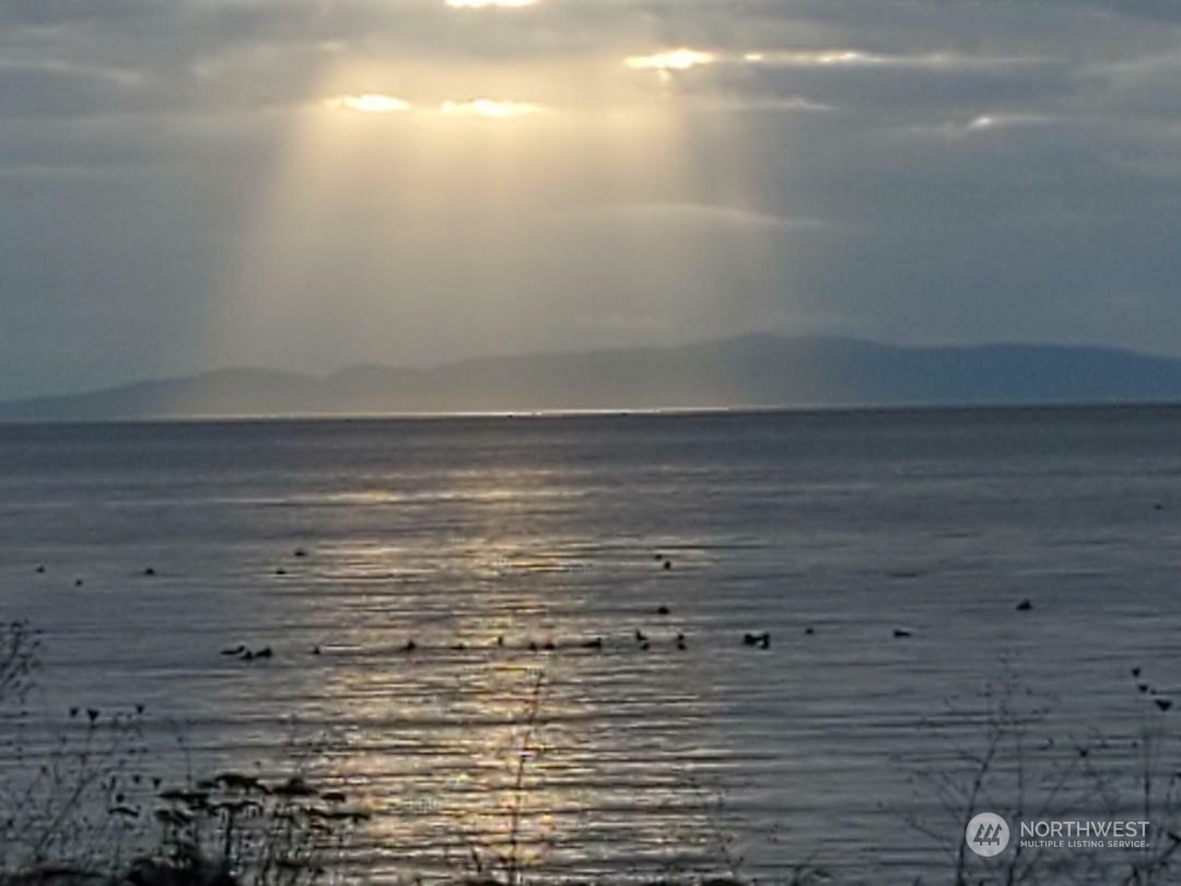 7687 Francis Lane #1-4, Blaine, WA 98230