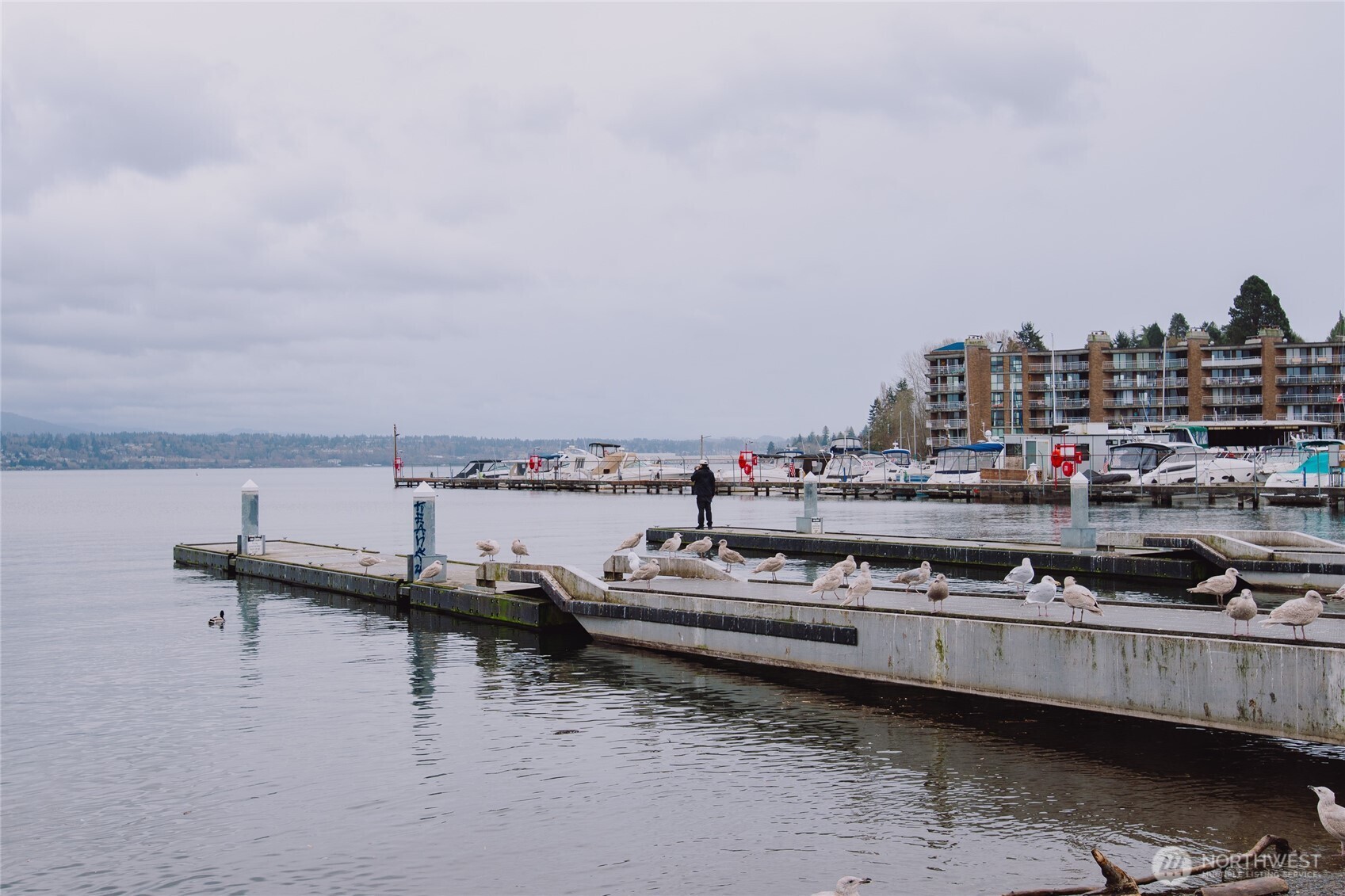 4525 S Henderson Street #103, Seattle, WA 98118