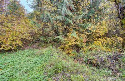 133 Lost Creek Drive , Glenoma, WA 98336 - Photo 26