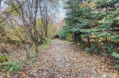 133 Lost Creek Drive , Glenoma, WA 98336 - Photo 32