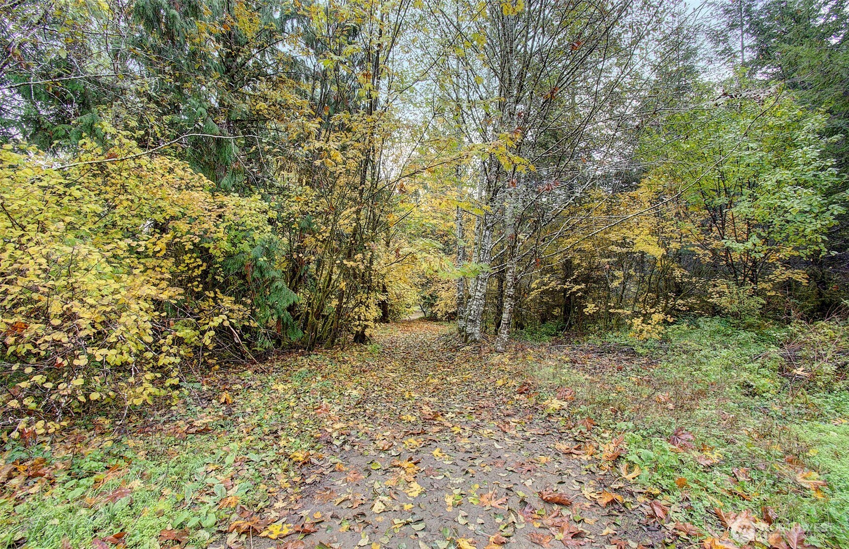 133 Lost Creek Drive , Glenoma, WA 98336