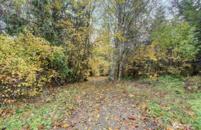 133 Lost Creek Drive , Glenoma, WA 98336 - Photo 33