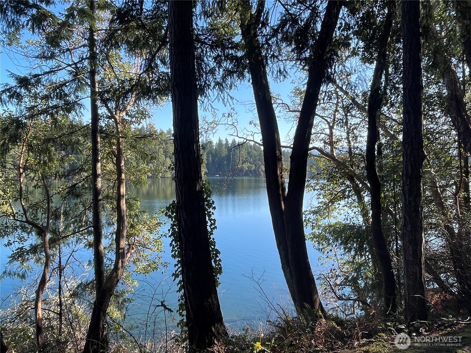 17812 Clear Lake Boulevard SE, Yelm, WA 98597