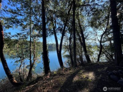 17812 Clear Lake Boulevard SE, Yelm, WA 98597 - Photo 22