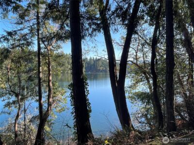 17812 Clear Lake Boulevard SE, Yelm, WA 98597 - Photo 3