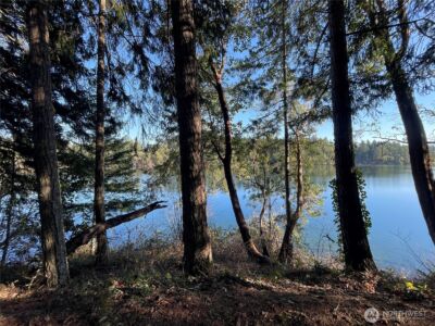 17812 Clear Lake Boulevard SE, Yelm, WA 98597 - Photo 6