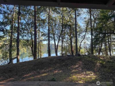 17812 Clear Lake Boulevard SE, Yelm, WA 98597 - Photo 8