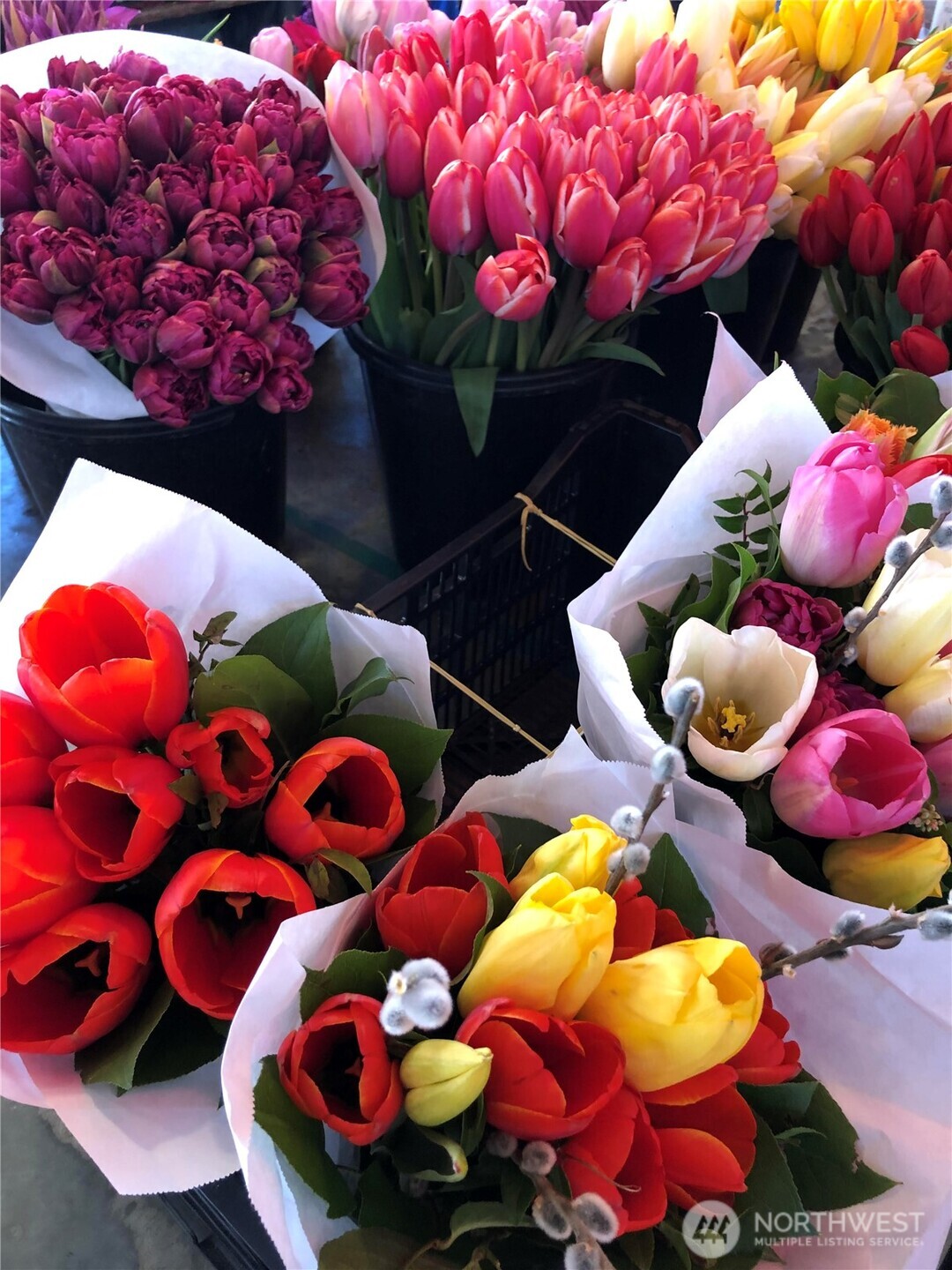 66 Bell Street #35, Seattle, WA 98053