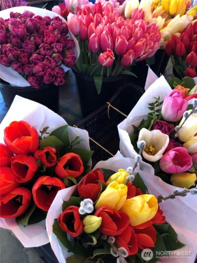 66 Bell Street #35, Seattle, WA 98053 - Photo 20