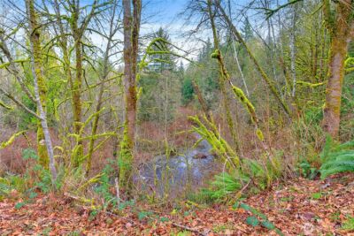 25122 Florence Acres Road , Monroe, WA 98272 - Photo 28