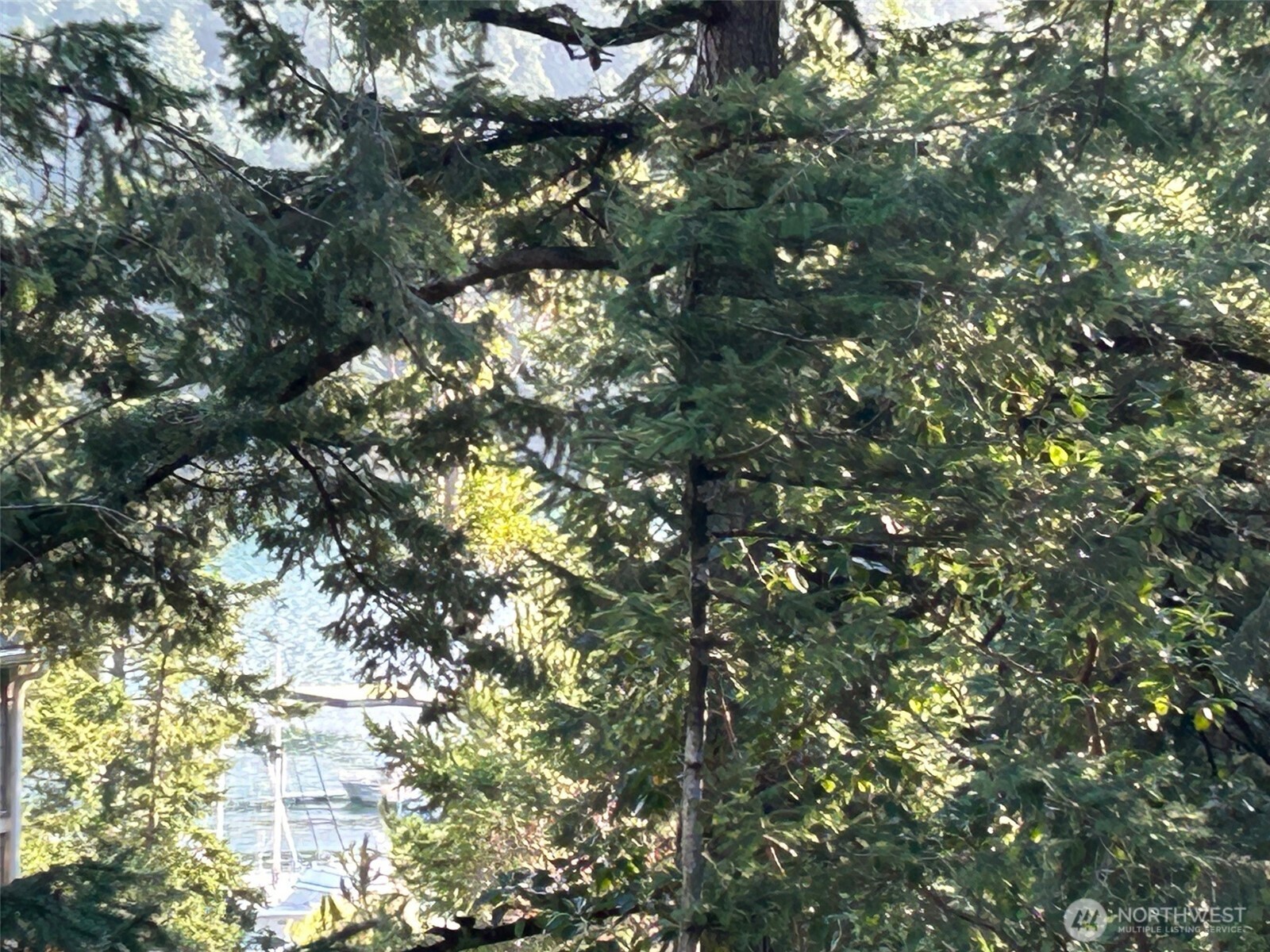 1193 Rosario Road , Orcas Island, WA 98245