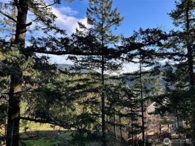 1193 Rosario Road , Orcas Island, WA 98245 - Photo 28