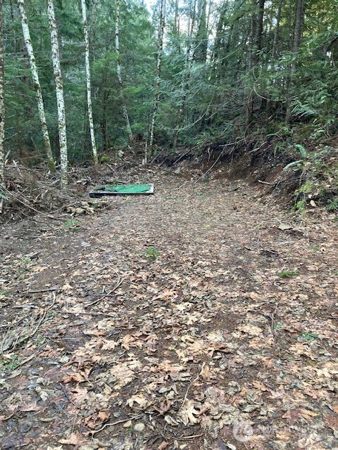 0 N Dow Ridge Road , Hoodsport, WA 98548