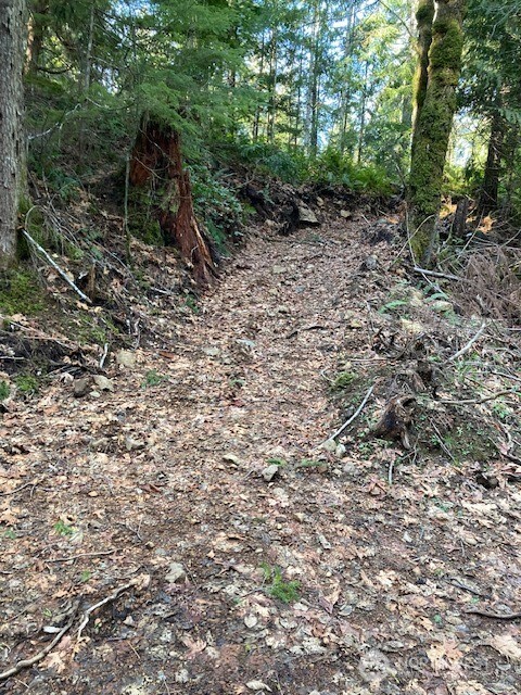 0 N Dow Ridge Road , Hoodsport, WA 98548