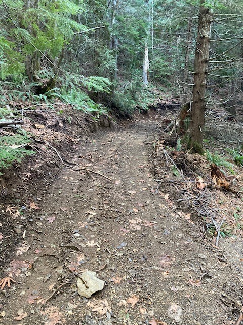 0 N Dow Ridge Road , Hoodsport, WA 98548