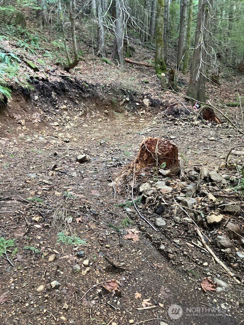 0 N Dow Ridge Road , Hoodsport, WA 98548