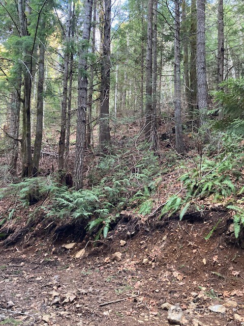 0 N Dow Ridge Road , Hoodsport, WA 98548