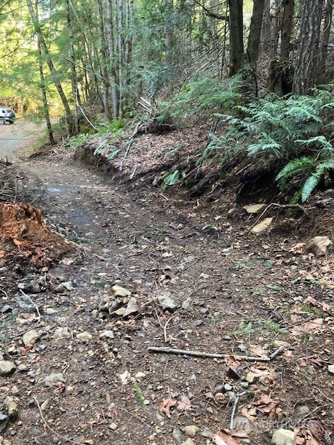 0 N Dow Ridge Road , Hoodsport, WA 98548