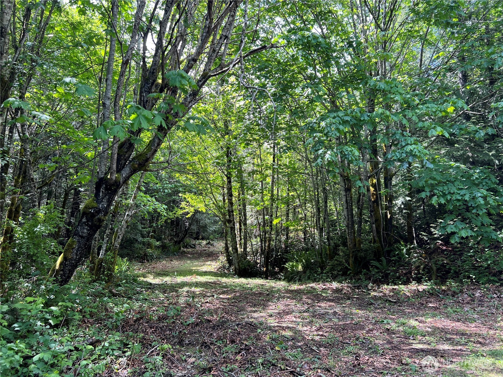 1 XXX Juanita Drive , Brinnon, WA 98320