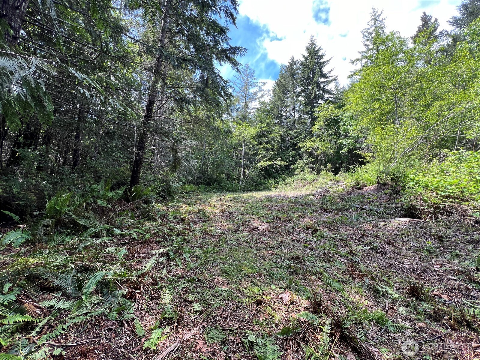 1 XXX Juanita Drive , Brinnon, WA 98320