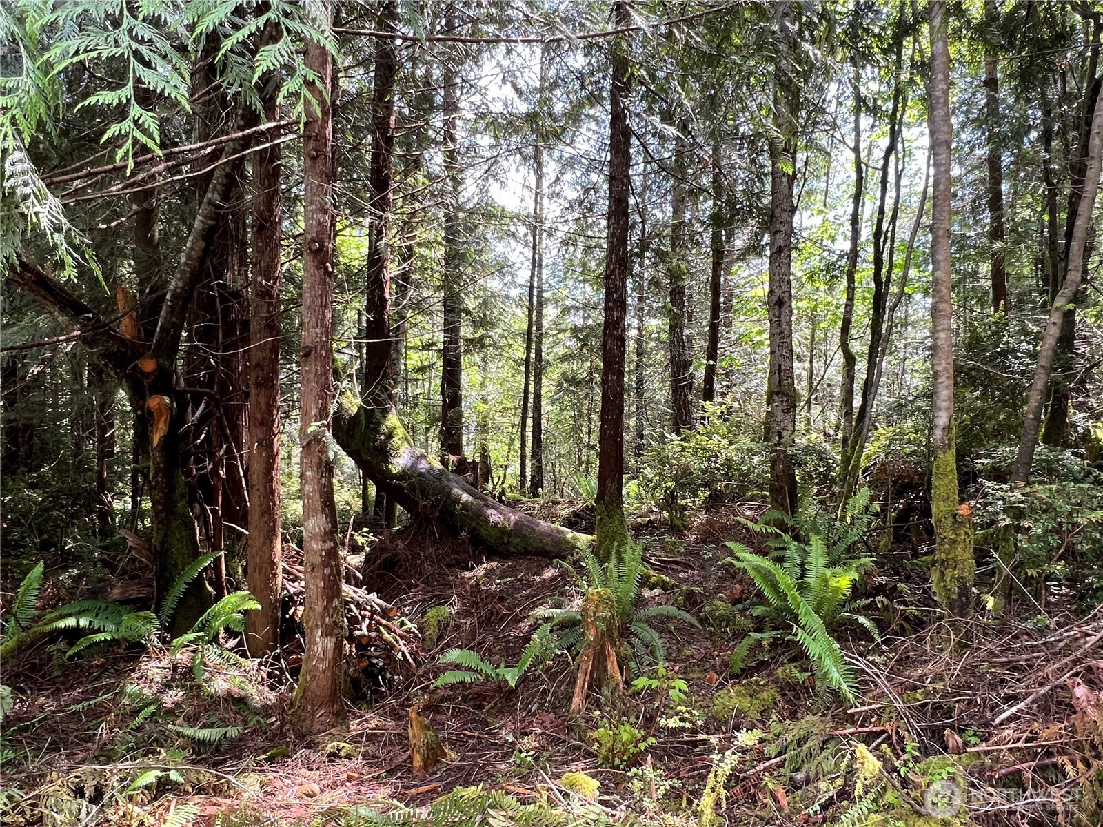 1 XXX Juanita Drive , Brinnon, WA 98320