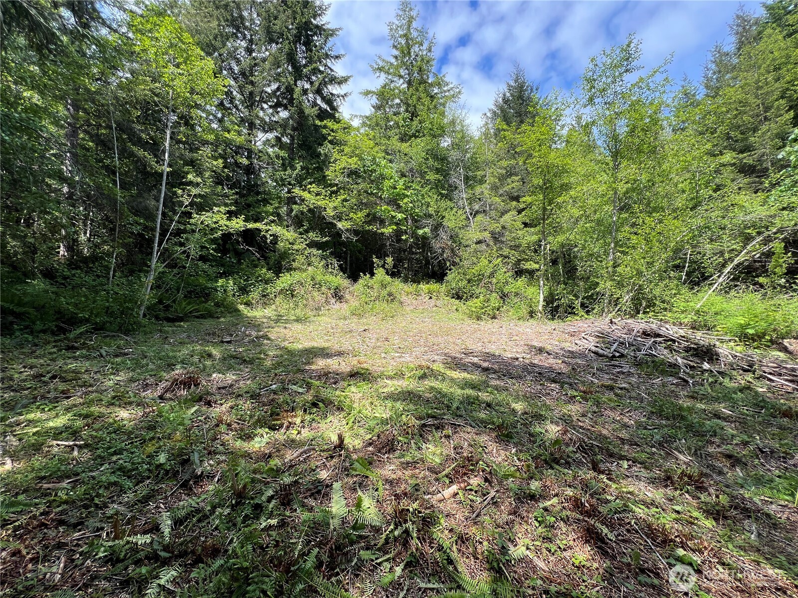 1 XXX Juanita Drive , Brinnon, WA 98320