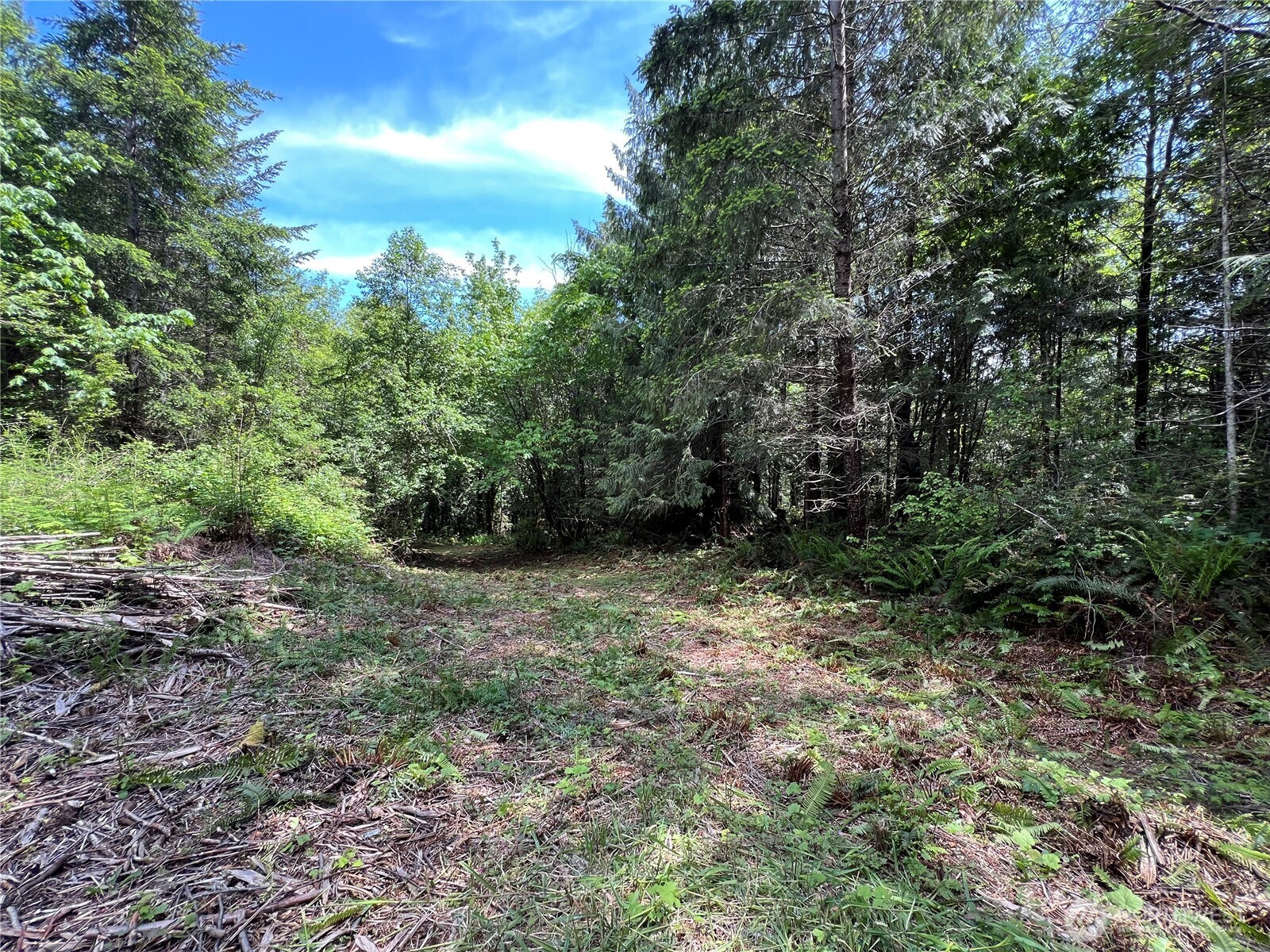 1 XXX Juanita Drive , Brinnon, WA 98320