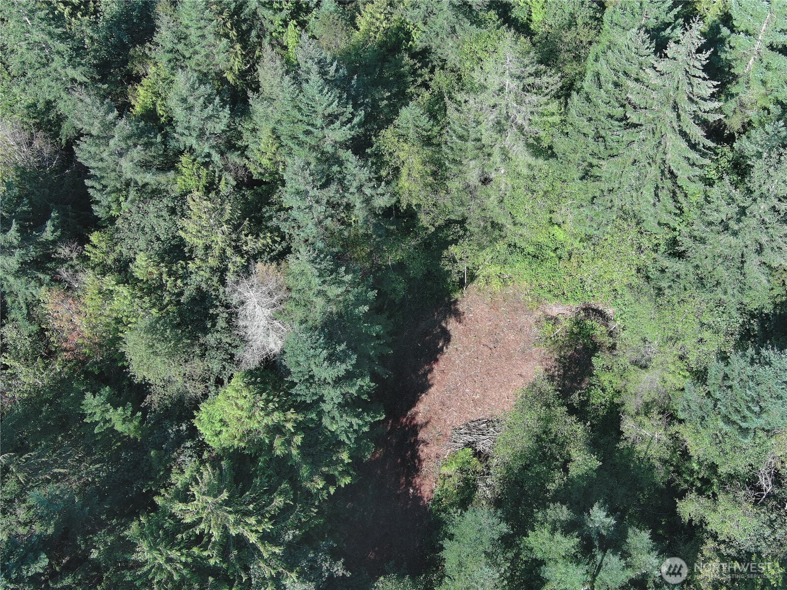 1 XXX Juanita Drive , Brinnon, WA 98320