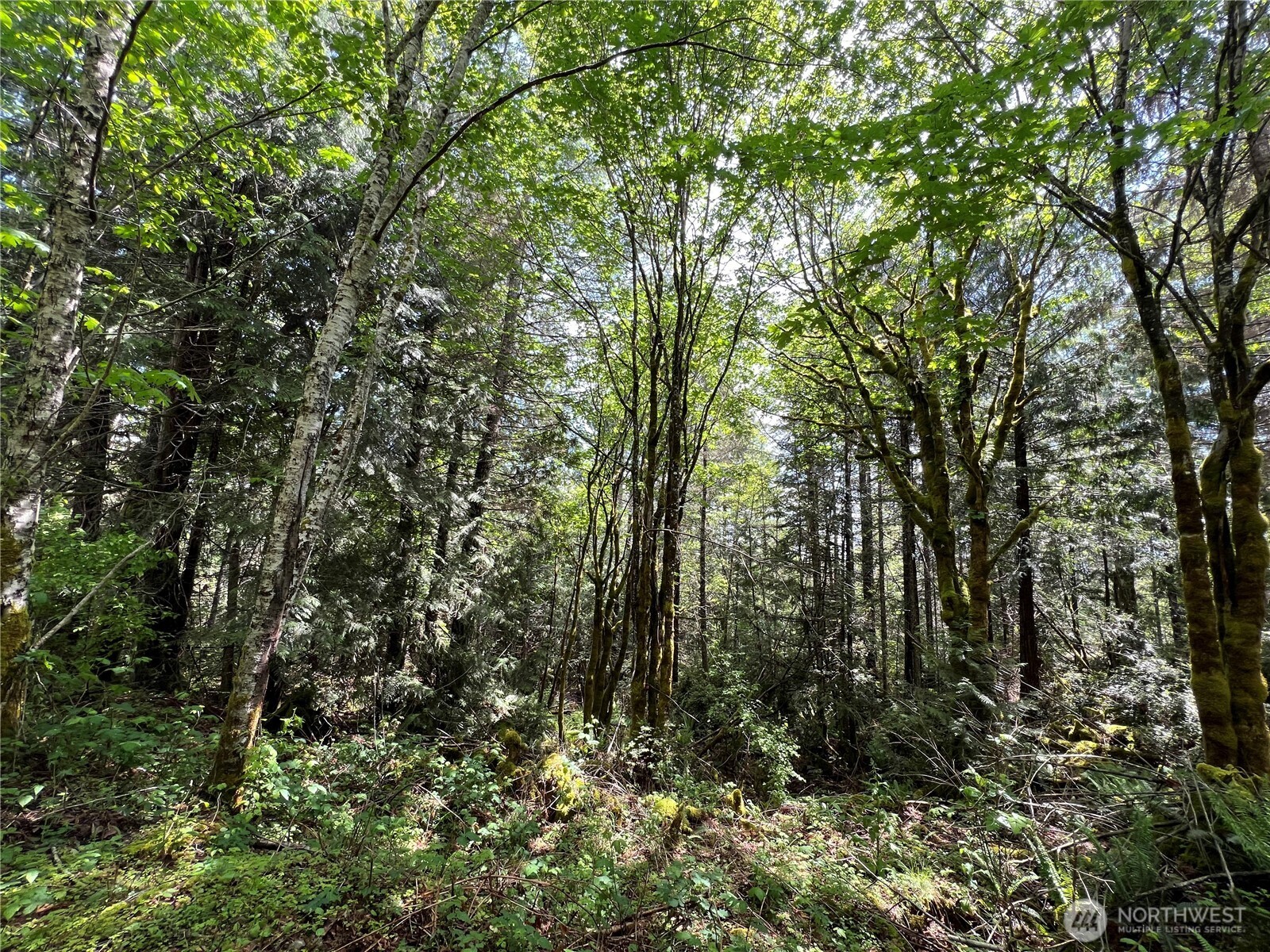 1 XXX Juanita Drive , Brinnon, WA 98320