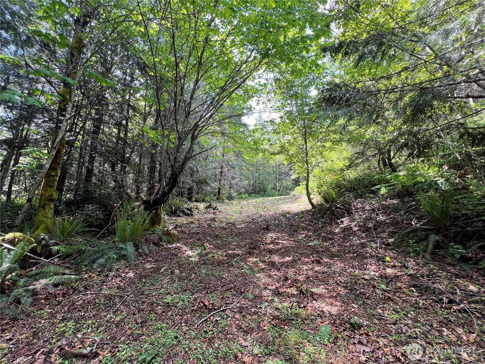 1 XXX Juanita Drive , Brinnon, WA 98320