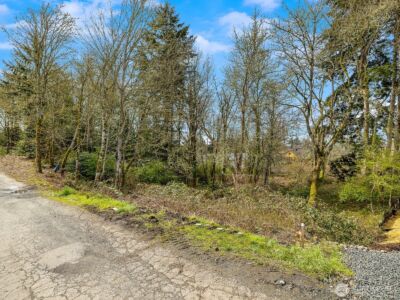 0 Devenny Avenue NE, Bainbridge Island, WA 98110 - Photo 6