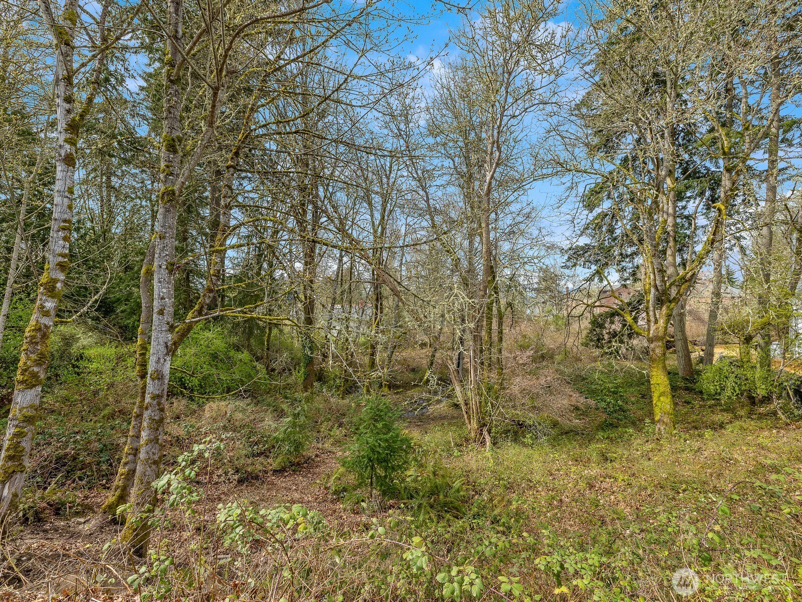 0 Devenny Avenue NE, Bainbridge Island, WA 98110