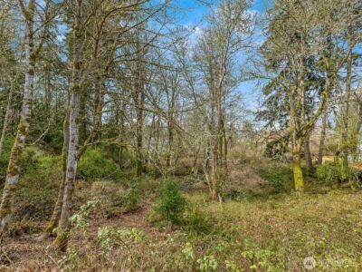 0 Devenny Avenue NE, Bainbridge Island, WA 98110 - Photo 7