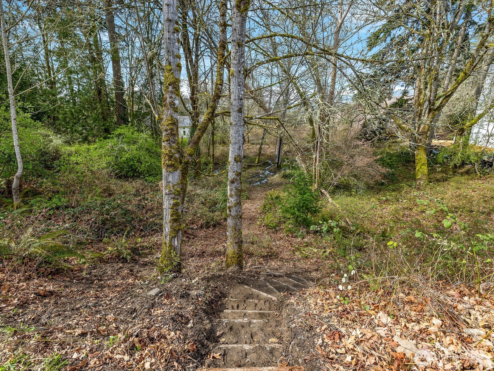 0 Devenny Avenue NE, Bainbridge Island, WA 98110