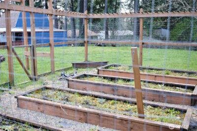 7544 Mesplay Avenue SE, Lacey, WA 98503 - Photo 31