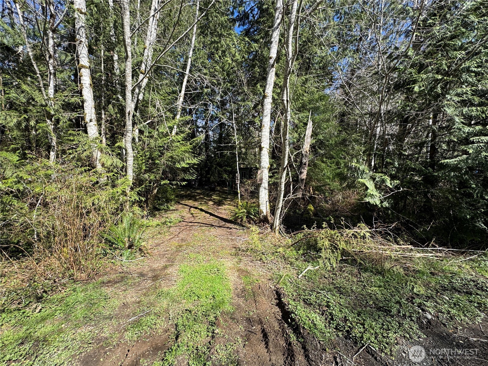 191 W Thunderbird Drive , Elma, WA 98541-9600