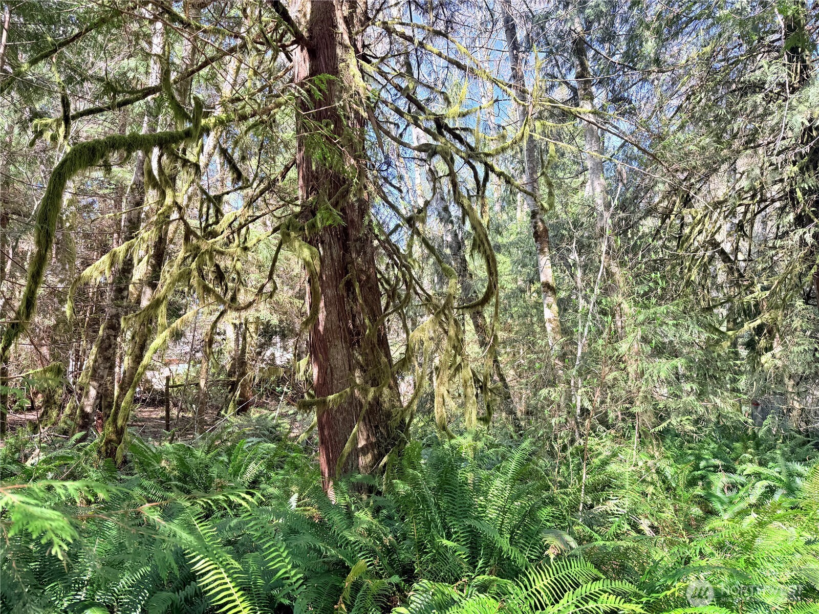 191 W Thunderbird Drive , Elma, WA 98541-9600