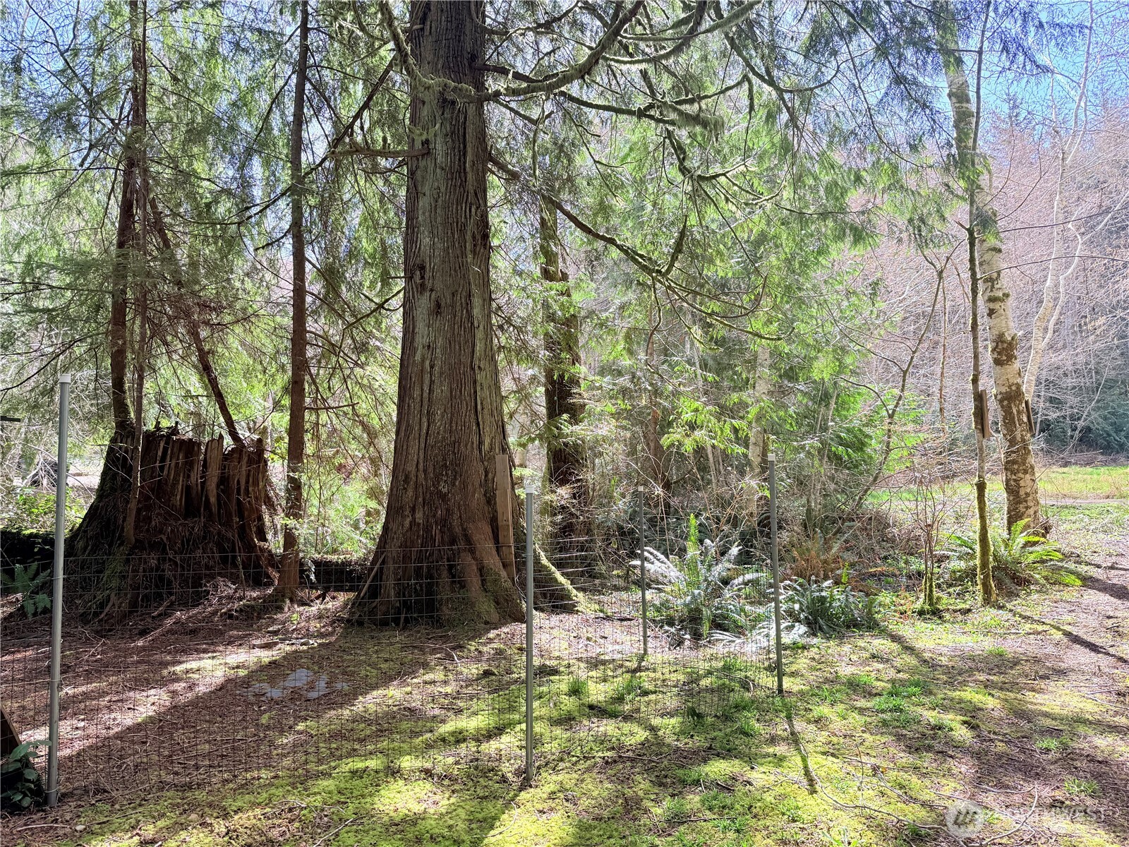 191 W Thunderbird Drive , Elma, WA 98541-9600